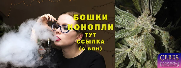 PSILOCYBIN Беломорск