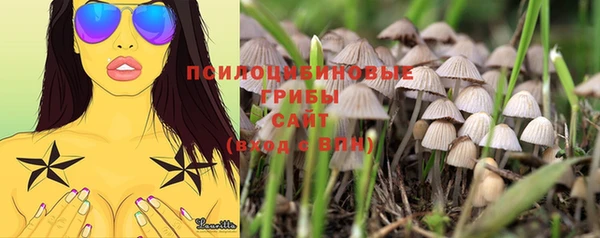 PSILOCYBIN Беломорск